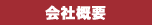 ЊTv